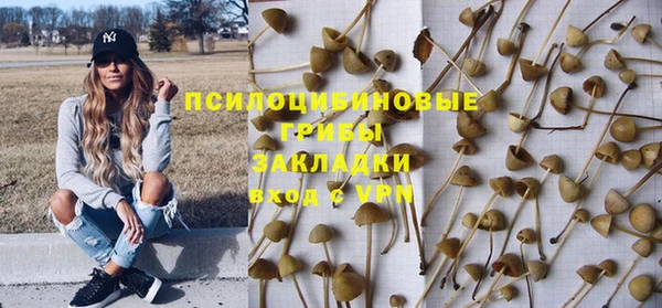 прущая мука Заводоуковск