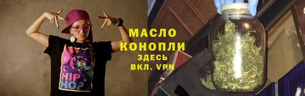 индика Заволжск