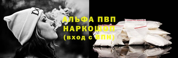 индика Заволжск