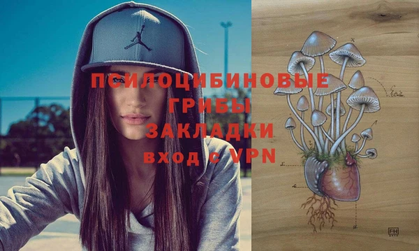 дмт Щигры