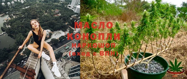 индика Заволжск
