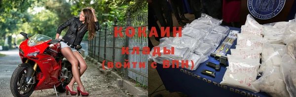 индика Заволжск