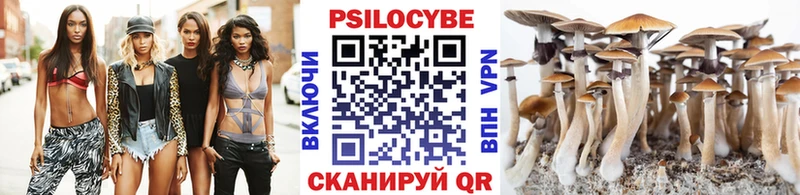 Псилоцибиновые грибы ЛСД  блэк спрут вход  Салехард 